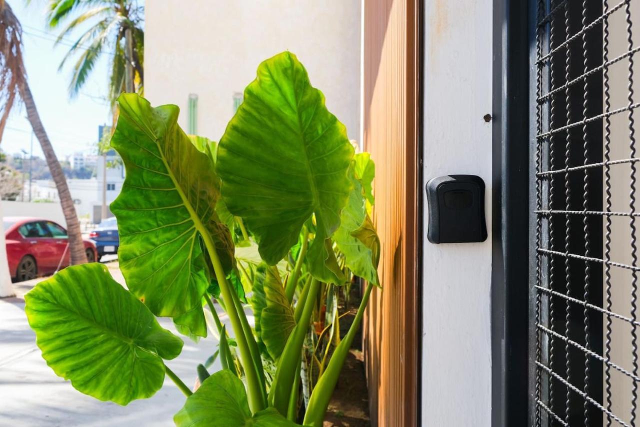 Apartamento Quiet-central 2br1ba Relaxed Atmosphere